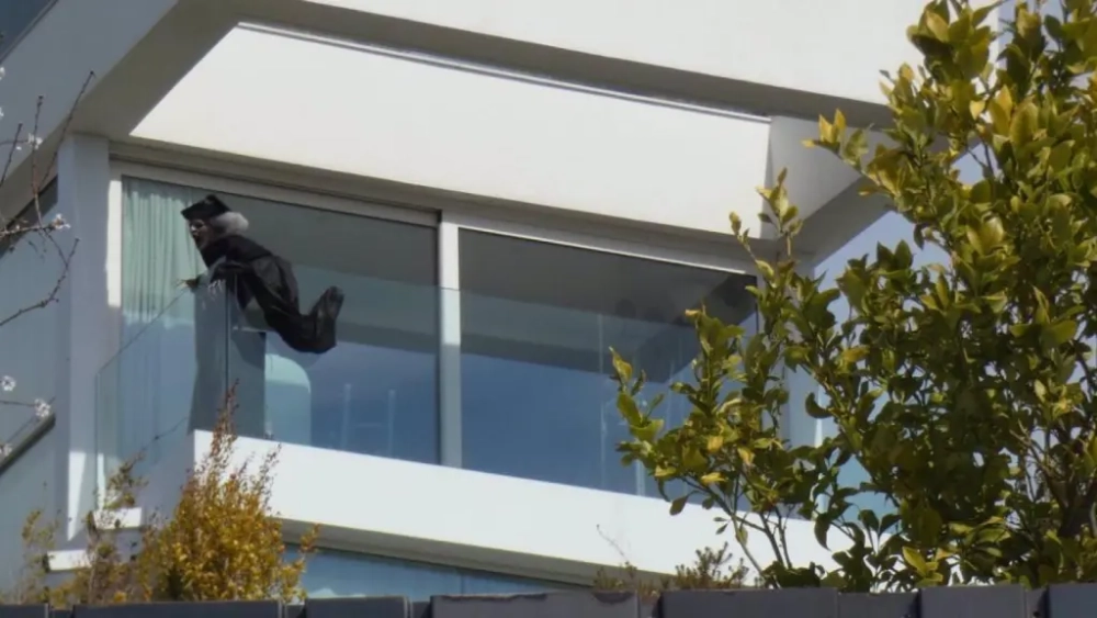 1003742701560 15326981 1024x576 1003742701560 15326981 1024x576